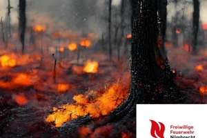 Waldbrandgefahr steigt: Feuerwehr Nümbrecht ruft zu besonderer Vorsicht auf